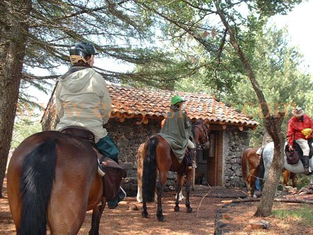 mount_etna_riding6